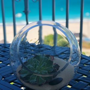 Meet your Posher, Raichel